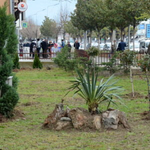 Денеска се засадуваа дрвца во малиот парк на Телеком