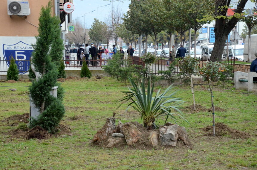 Денеска се засадуваа дрвца во малиот парк на Телеком