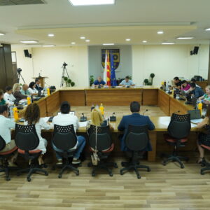 Решение за свикување на дваесет и деветата седница на Советот на општина Струмица