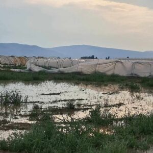 Соопштение во врска со природната непогода – поплава од пороен дожд проследен со град и силен ветер од  06.06.2025 во населено место Муртино